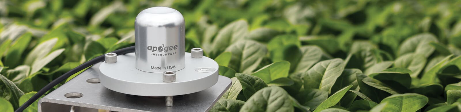 紫外輻射傳感器 紫外輻射傳感器