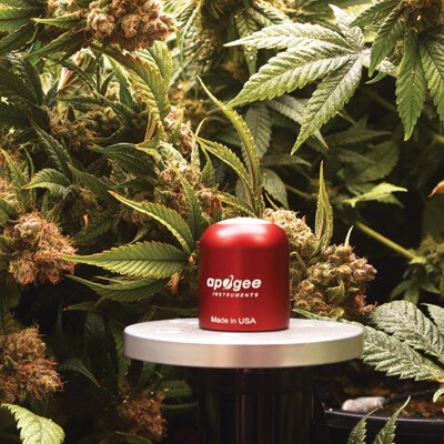 雙通道紅光和遠(yuǎn)紅外輻射傳感器 雙通道紅光和遠(yuǎn)紅外輻射傳感器