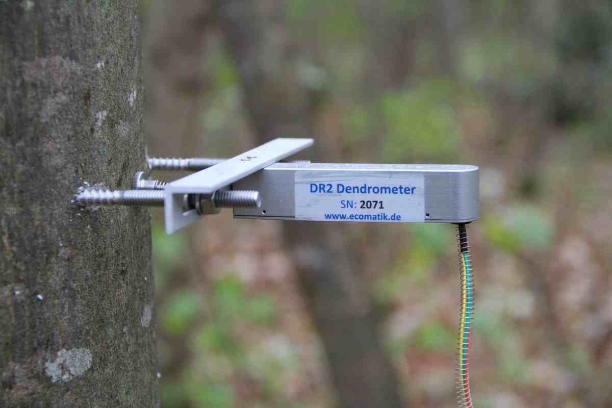 半徑生長(zhǎng)測(cè)量?jī)x 半徑生長(zhǎng)測(cè)量?jī)x