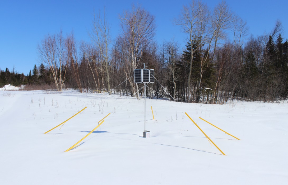 SWA雪水當(dāng)量傳感器 SWA雪水當(dāng)量傳感器