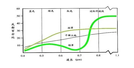 植物光譜、植被指數(shù)監(jiān)測儀