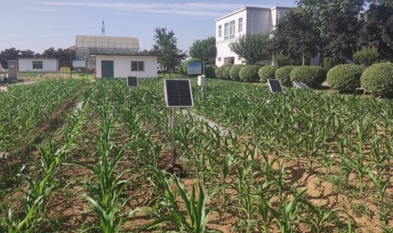 土壤旱情監(jiān)測系統(tǒng)